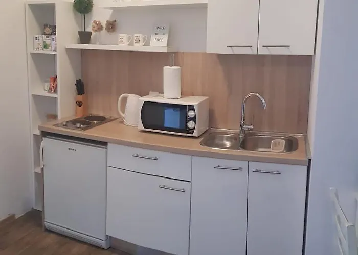 Apartament S